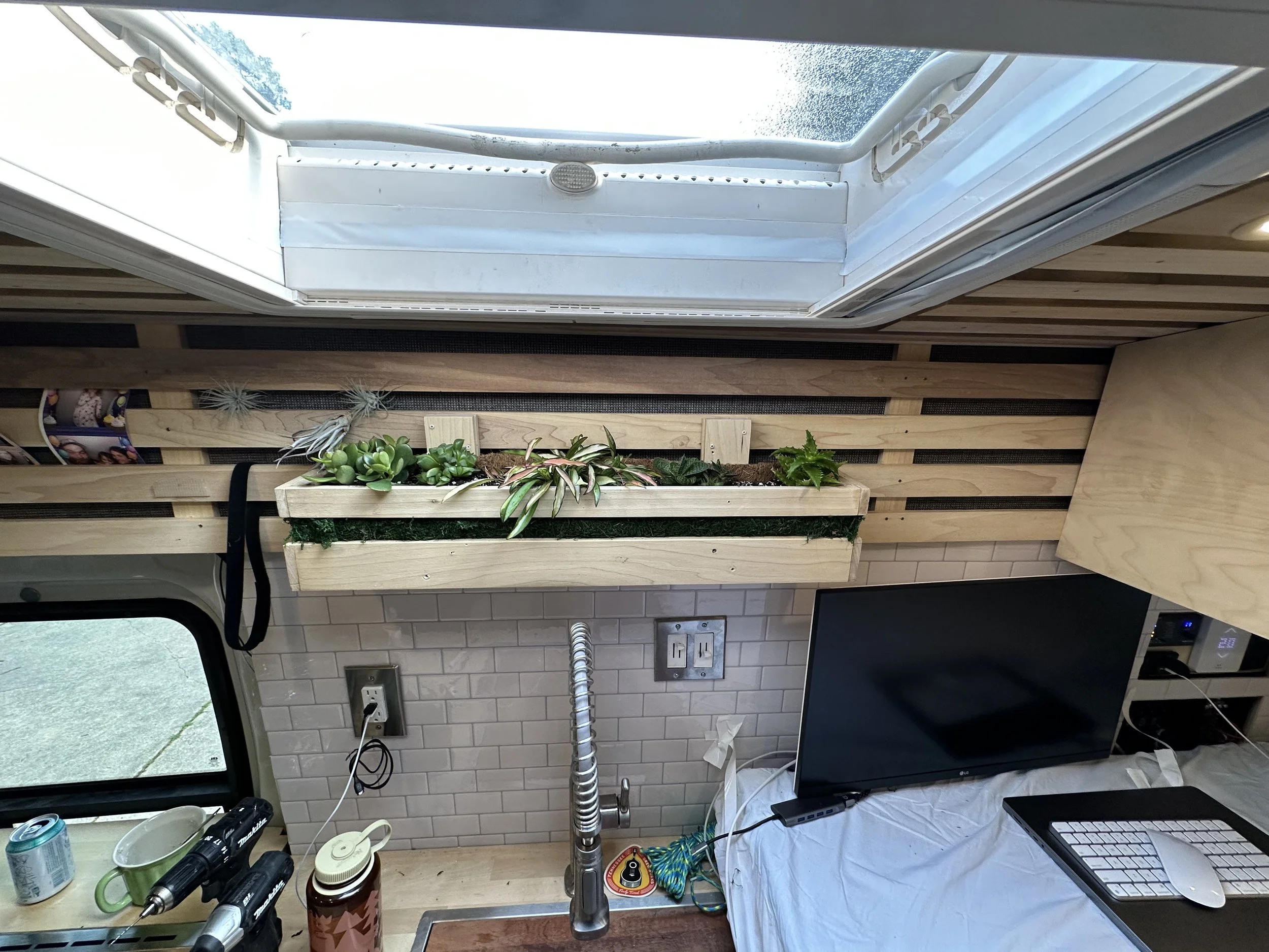 Garden - Photo 2